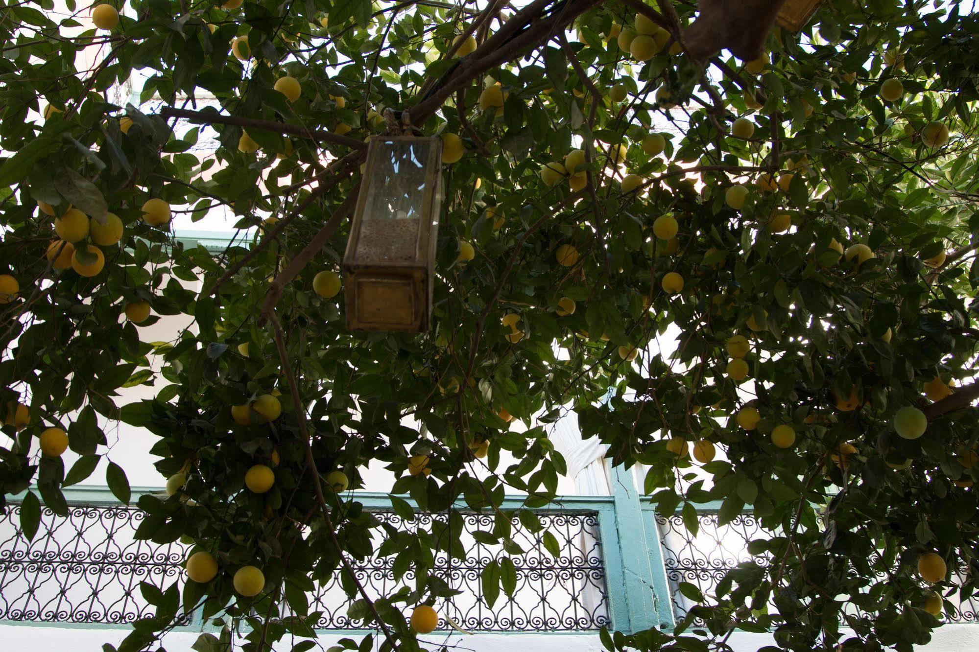 Origin Hotels Riad Magi Marakeş Dış mekan fotoğraf
